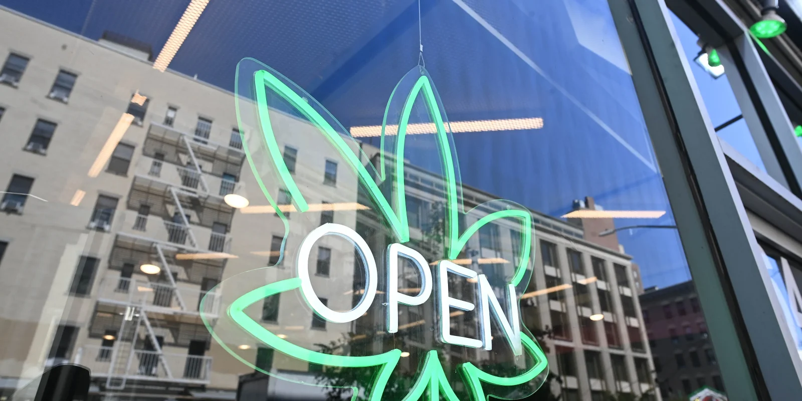 New York Legal Cannabis Industry Grapples With New Setbacks and Allegations of Mismanagement